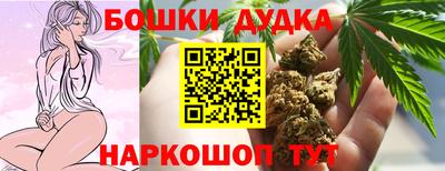 гидропоника Можга
