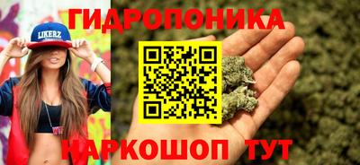 СК Моздок