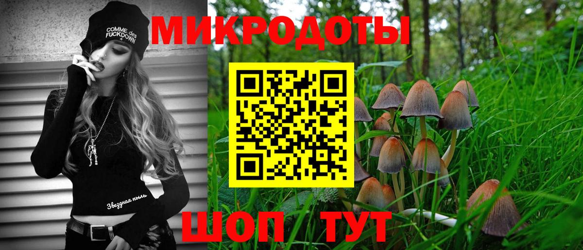 Чехов  Галлюциногенные грибы GOLDEN TEACHER  Вход с VPN  Псилоцибиновые грибы прущие грибы 